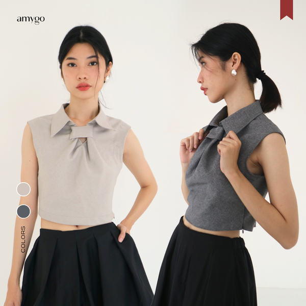 Amygo Store - Tie Crop Top