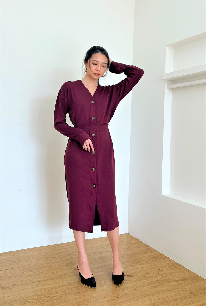Zoey Knit Outer Dress in Red Wine