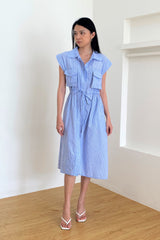 Dei Pocket Dress in Blue Stripe